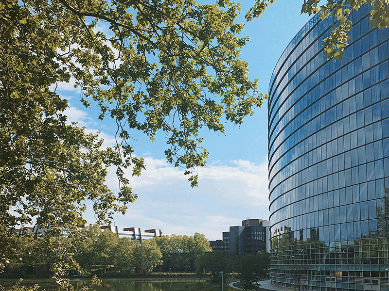 Image de présentation